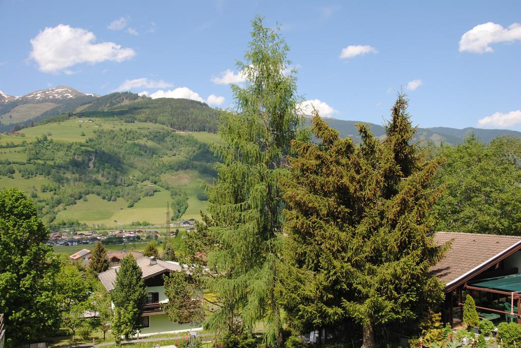 Ferienhaus Niedernsill Luaran gambar